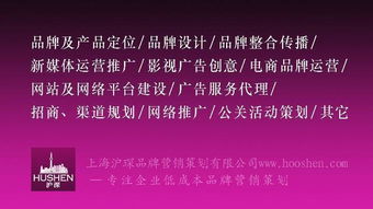 中國十大市場營銷全案策劃公司最新排名